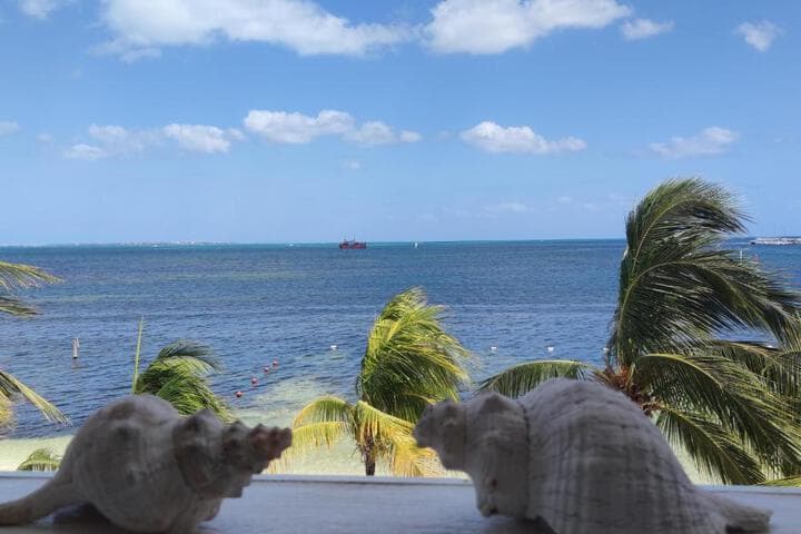 Explore Paraiso