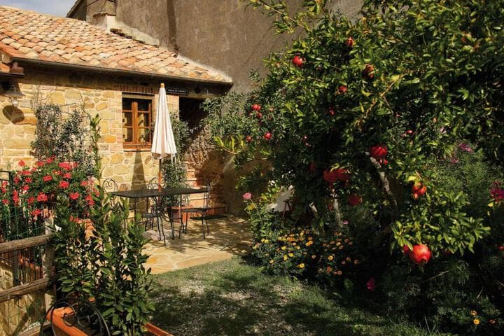 Explore Castiglioncello Bandini