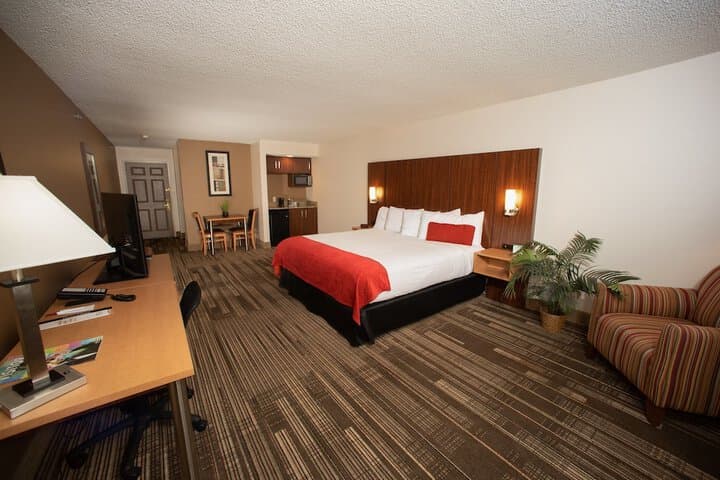 Explore Downtown Springfield