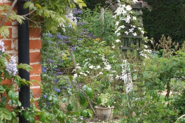 Explore Mattishall