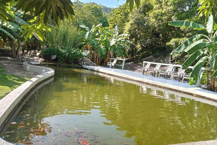 Explore La Cachaca