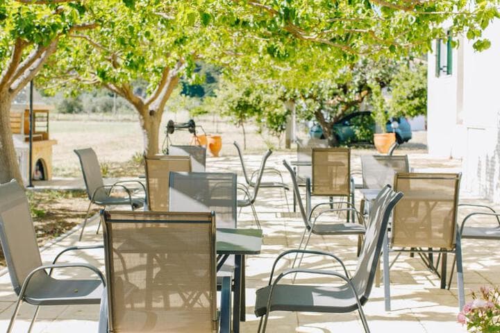 Explore Agia Anna Beach