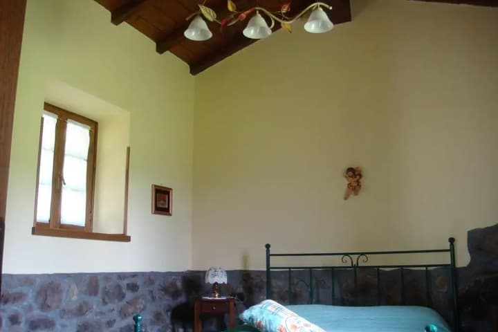 Explore Sulcina