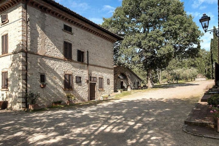 Explore Lucarelli