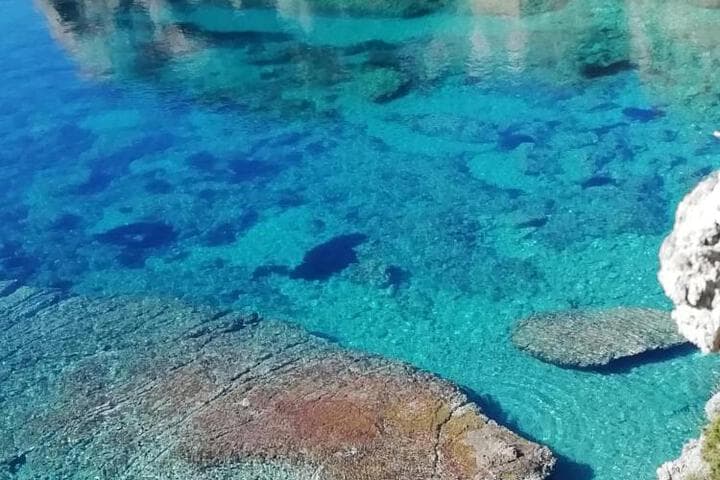 Explore Le Forna