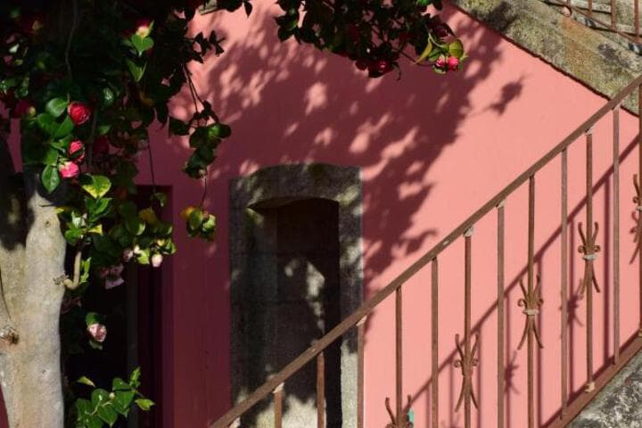 Explore Cavada