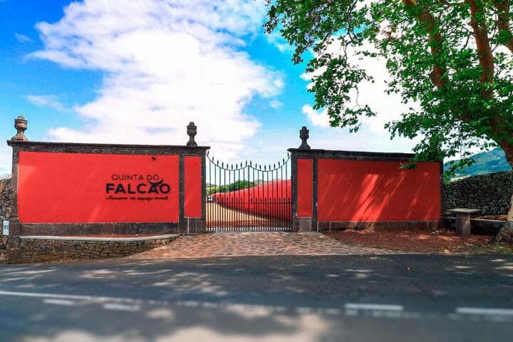 Explore Sao Pedro