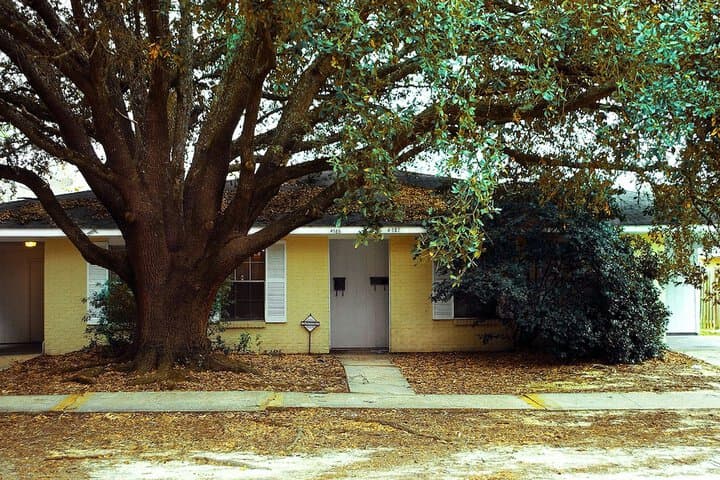 Explore Denham Springs
