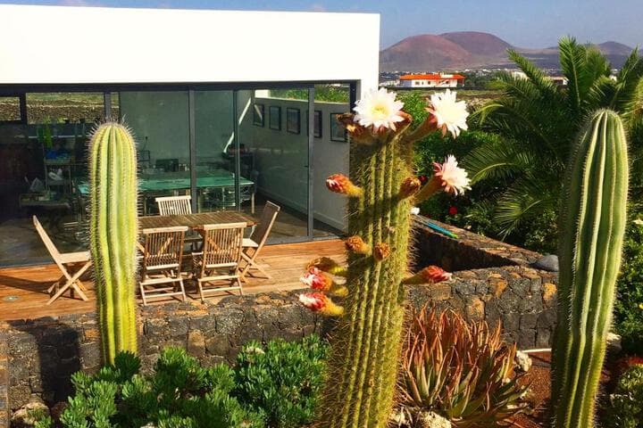 Explore Corralejo