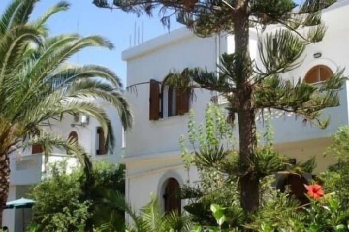 Explore Epano Pine