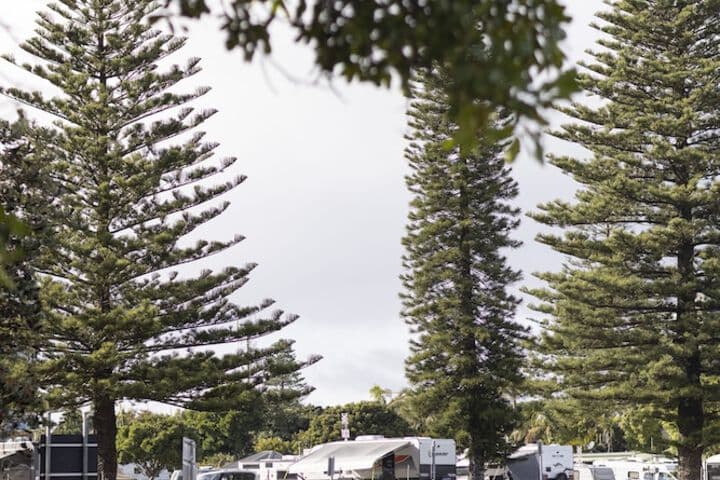 Explore Elizabeth Beach