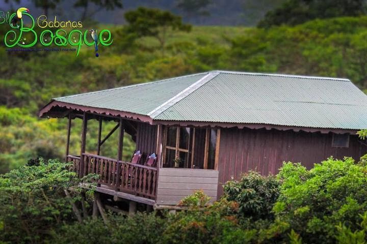 Explore Pejibaye