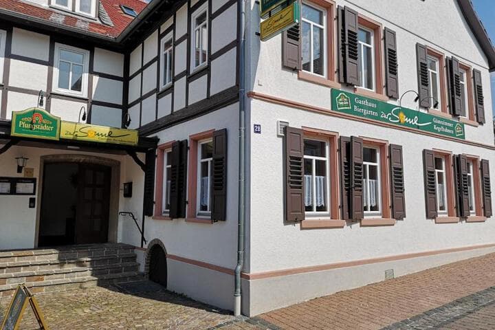 Explore Hahnlein