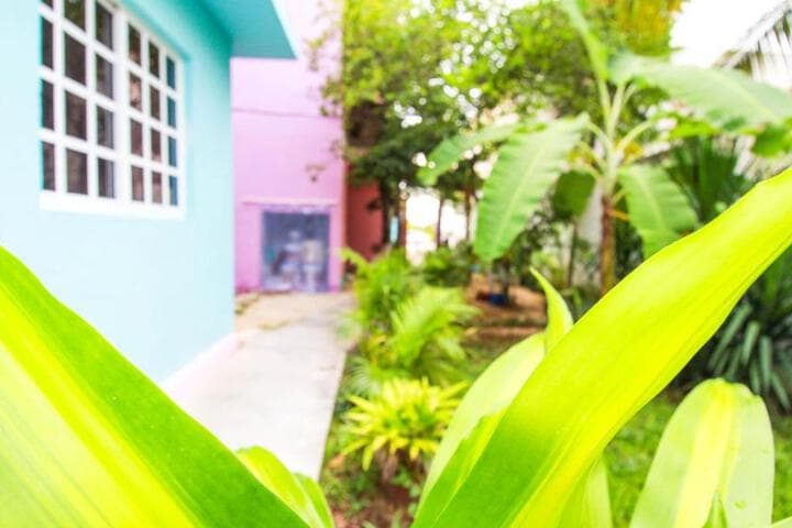Explore Costa Maya