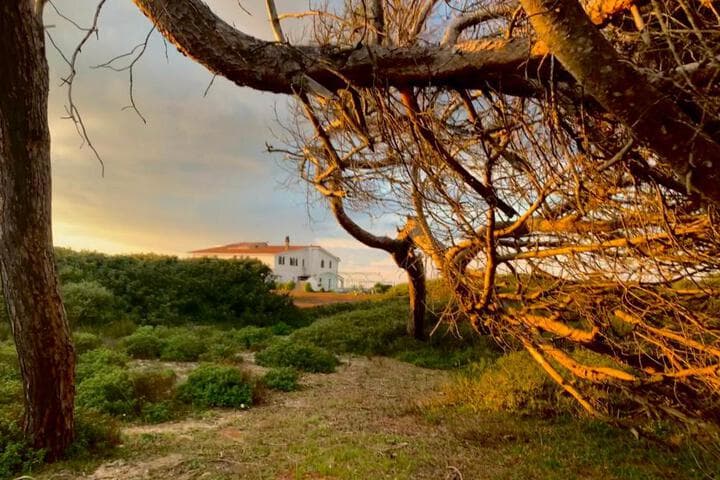 Explore Budoni