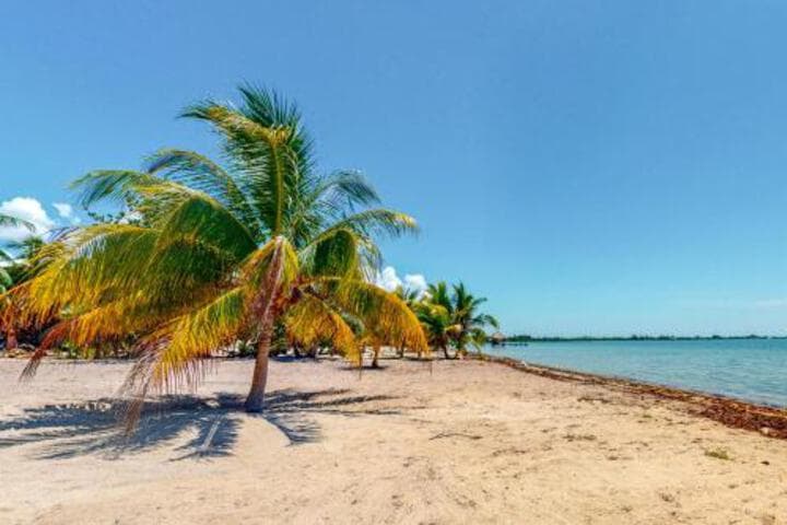 Explore Surfside