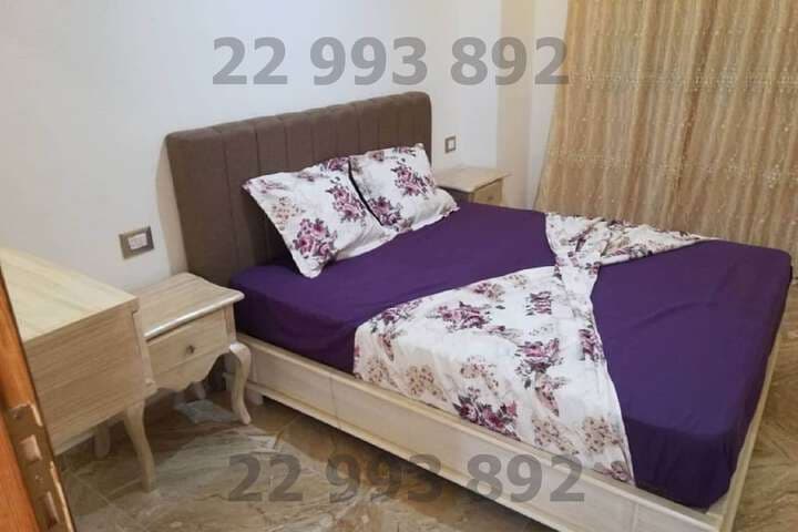 Explore Mansoura