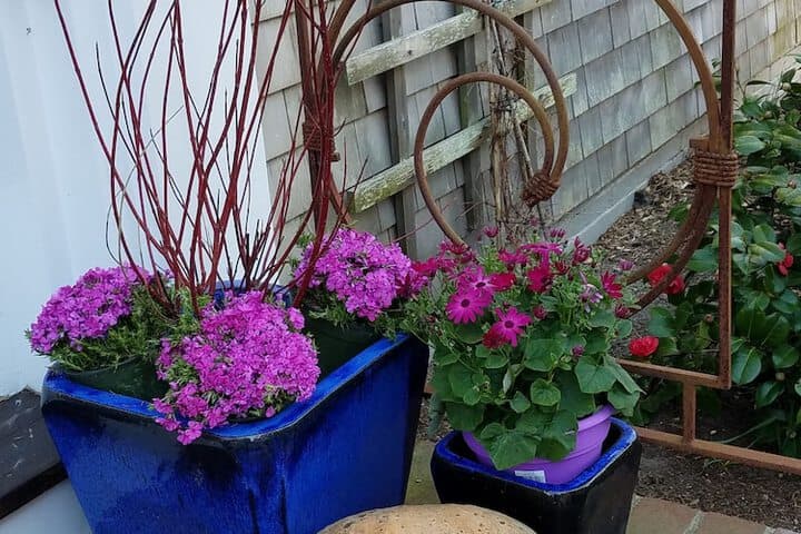 Explore Nantucket Town