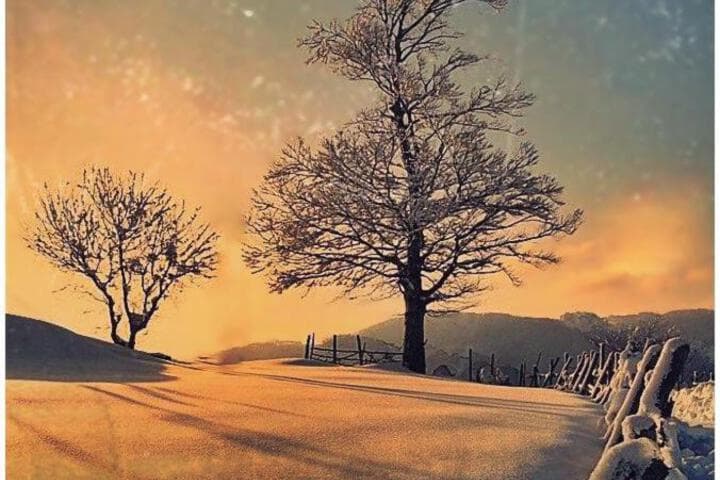 Explore Bachkovo