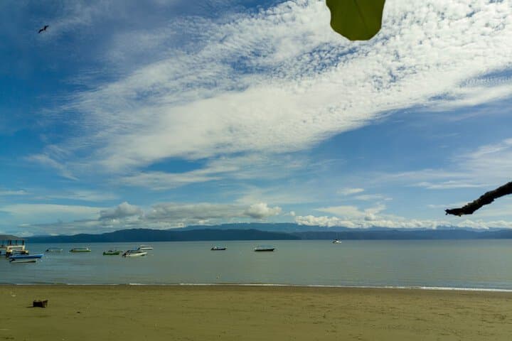 Explore Cabo Matapalo