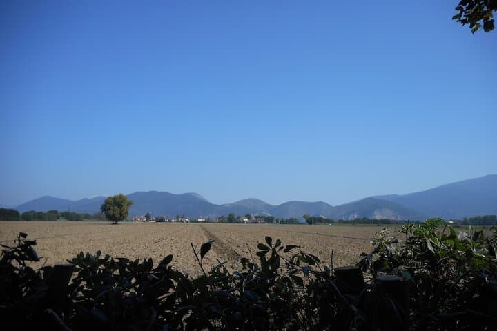 Explore Sant Andrea