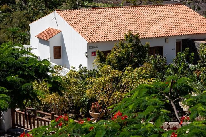 Explore Playa Del Cura