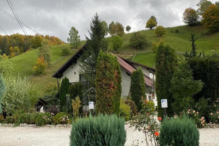 Explore Brasov