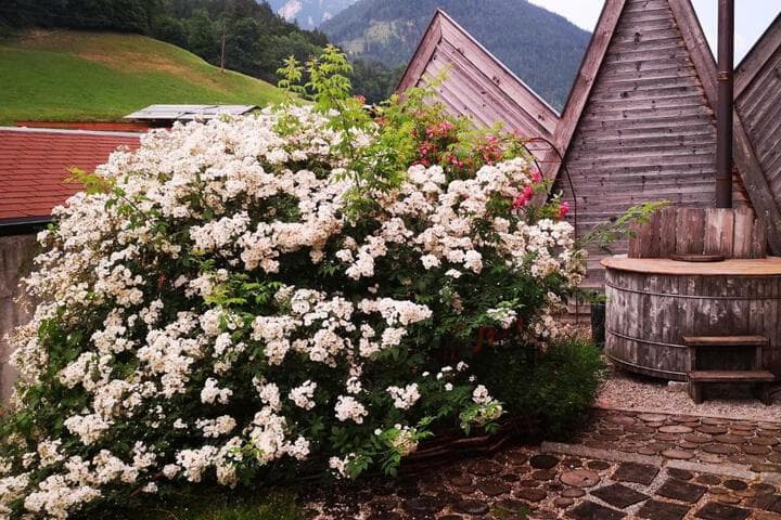 Explore Weissenbach