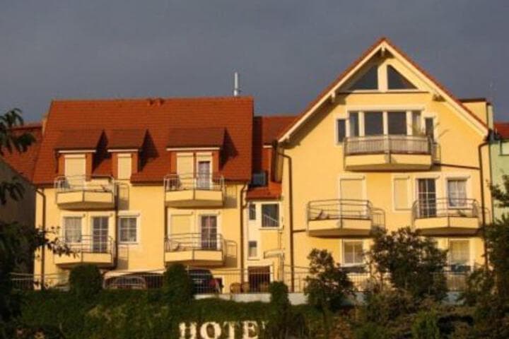 Explore Schonfeld