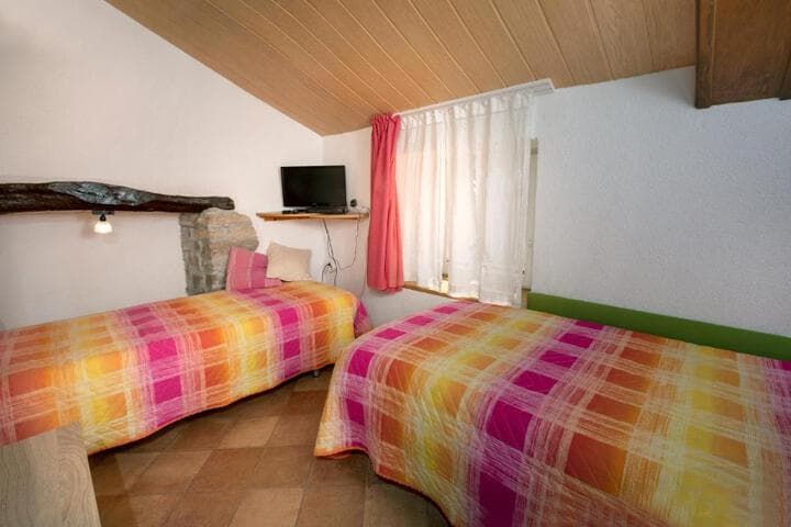 Explore Bartolici