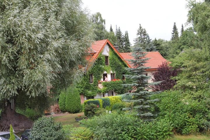 Explore Bad Waldliesborn