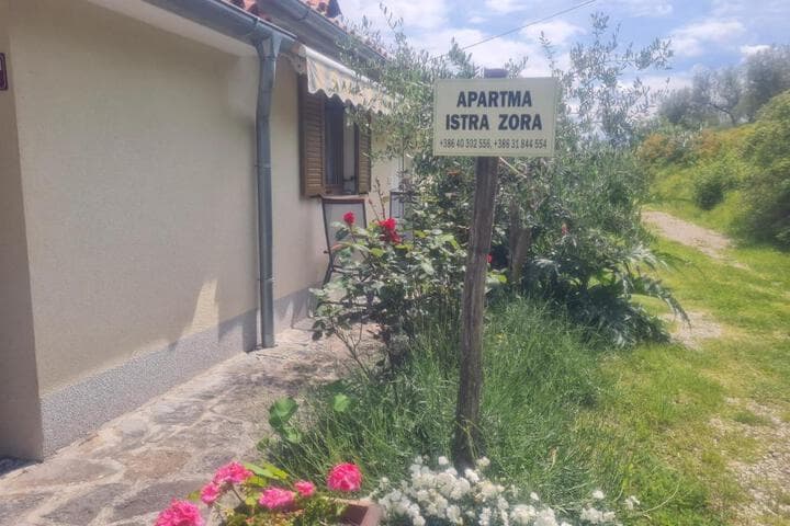 Explore Lucija