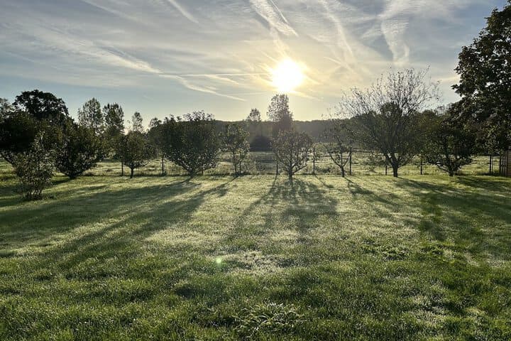Explore Renescure