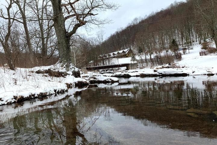 Explore Locust Glen