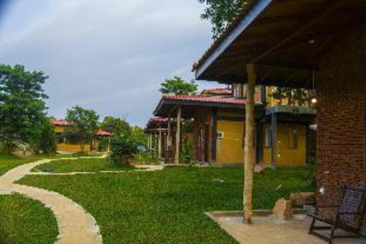 Explore Kimbissa