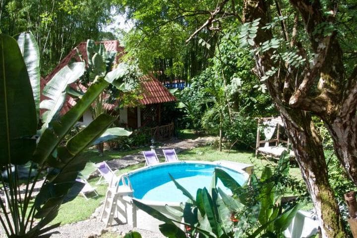Explore Palmira