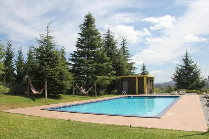 Explore Mirandela