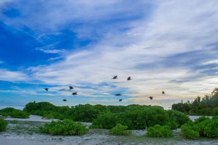 Explore Kedhigandu