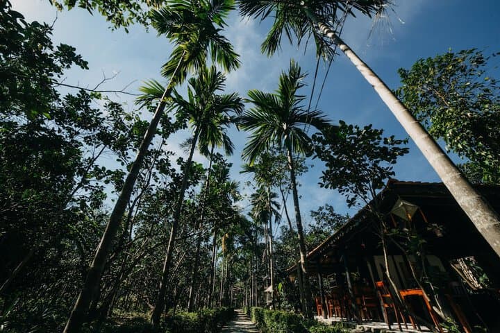 Explore An Duong