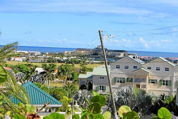 Explore Basseterre
