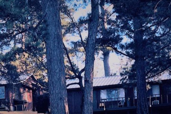 Explore Holly Lake Ranch