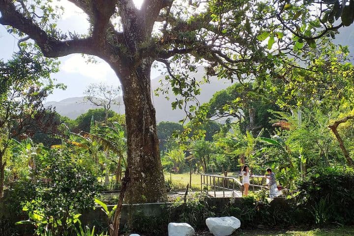 Explore Rio Hato