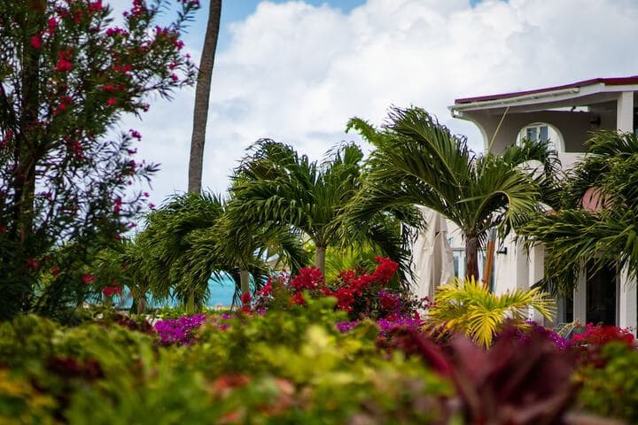 Explore Saint Johnston Village