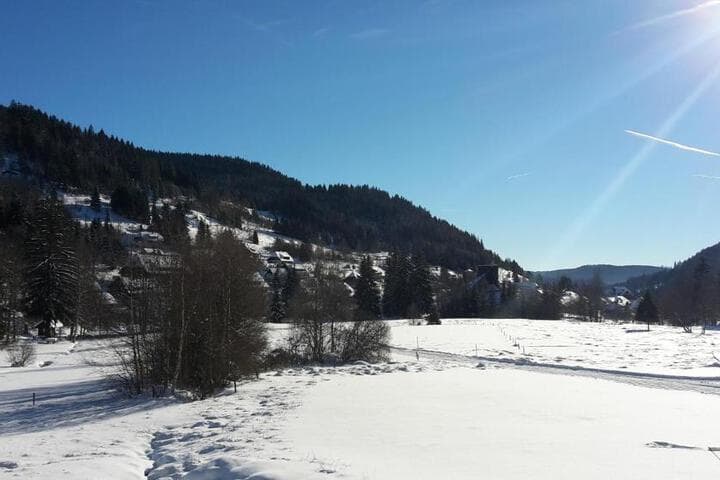 Explore Menzenschwand Hinterdorf