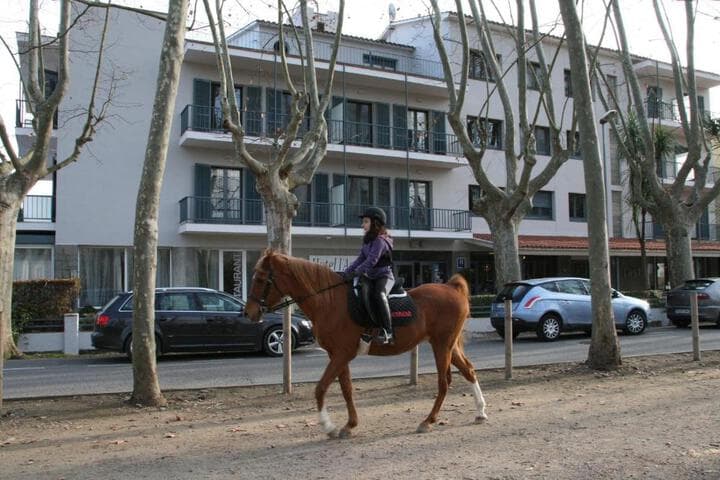 Explore Puigpalter