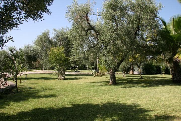 Explore Torre Saracena