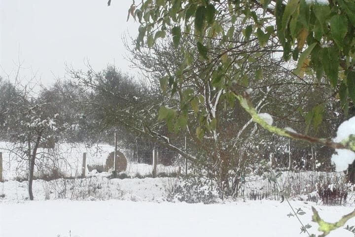 Explore Sulhamstead