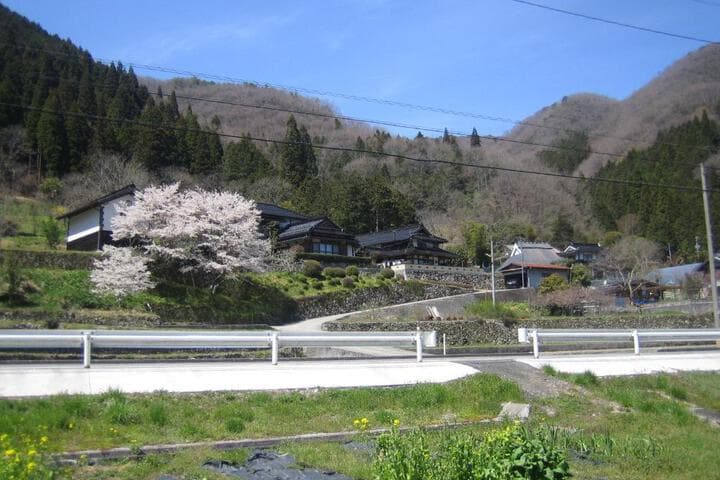 Explore Niimi