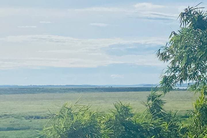 Explore Katabi