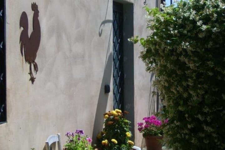 Explore Romola